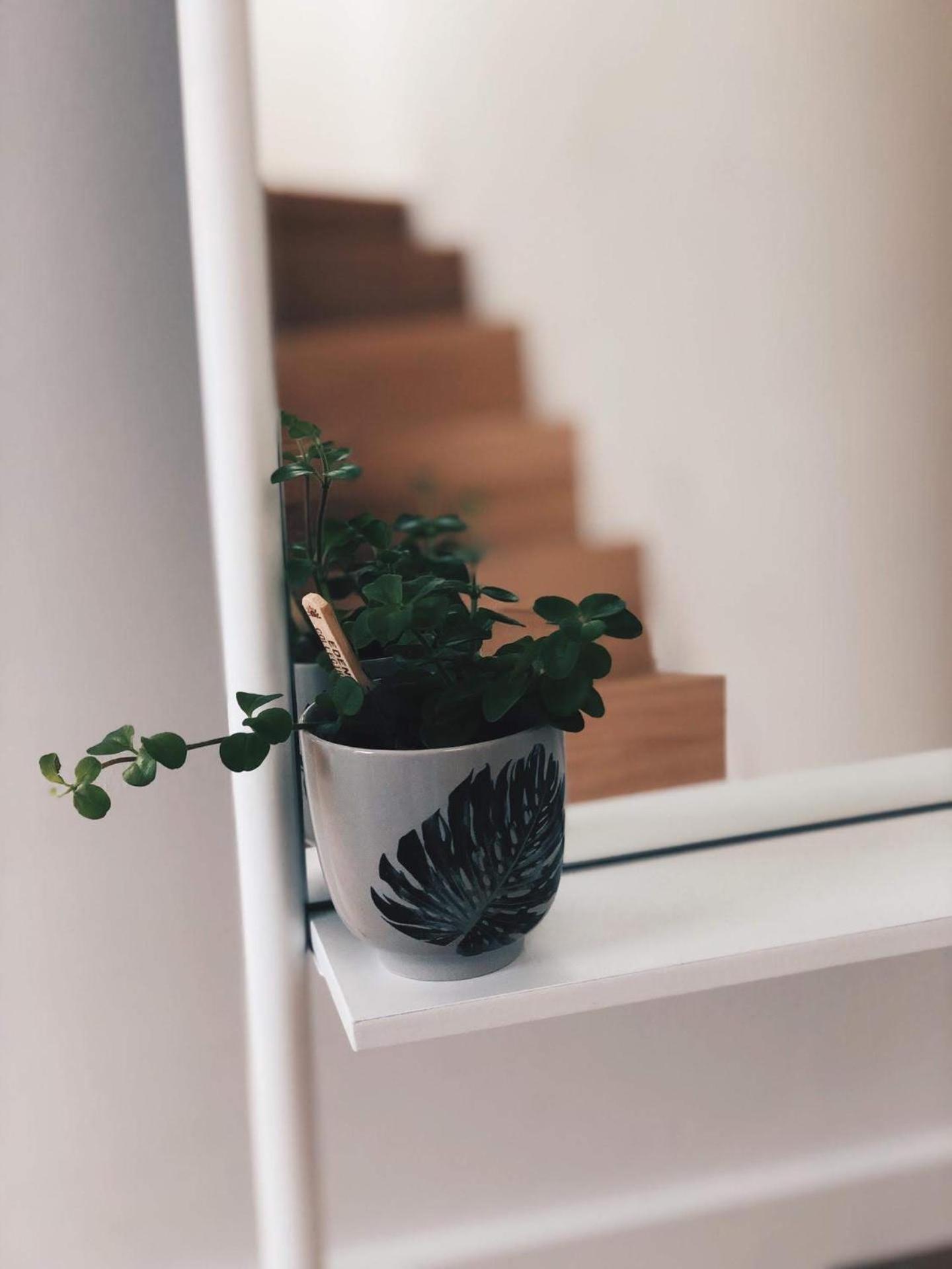 Penthouse La Naturale Zeezicht Appartement *